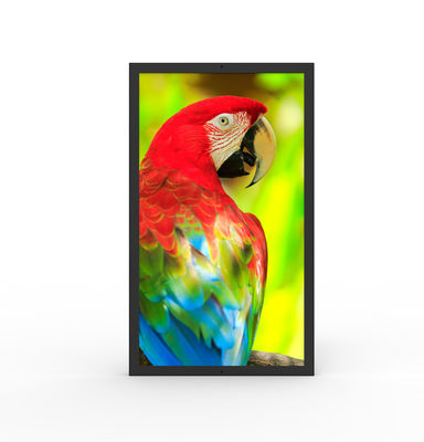خرید ضد آب HDMI صفحه نمایش های دیجیتال تجاری 49 اینچ Ultrawide Monitor online manufacture