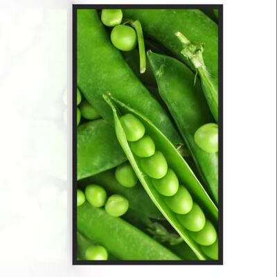 32 اینچ Ultra-Narrow Bezel Outdoor LCD Monitor با 3000nits روشنایی IP67 ضد آب و شیشه ضد درخشش برای مراکز خرید و آسانسور